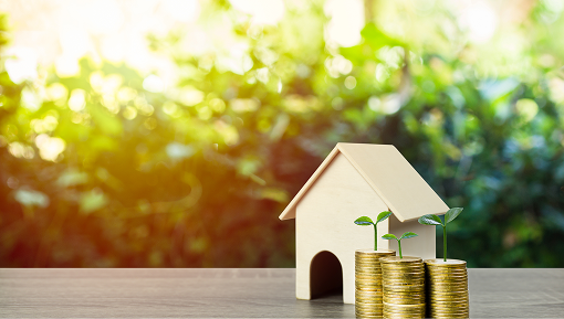 Portfolio Management